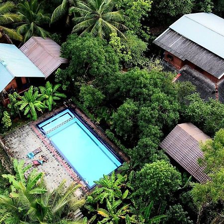 Sun And Green Eco Lodge - Dambulla Εξωτερικό φωτογραφία