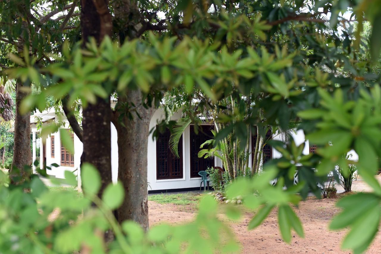 Sun And Green Eco Lodge - Dambulla Εξωτερικό φωτογραφία