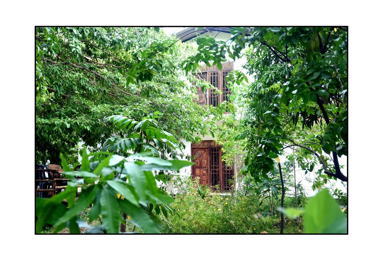 Sun And Green Eco Lodge - Dambulla Εξωτερικό φωτογραφία