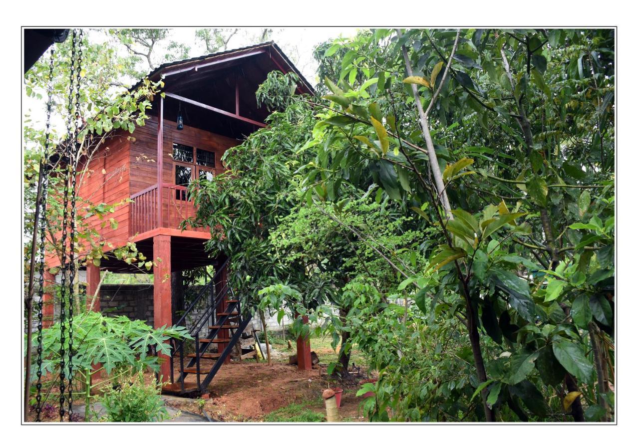 Sun And Green Eco Lodge - Dambulla Εξωτερικό φωτογραφία
