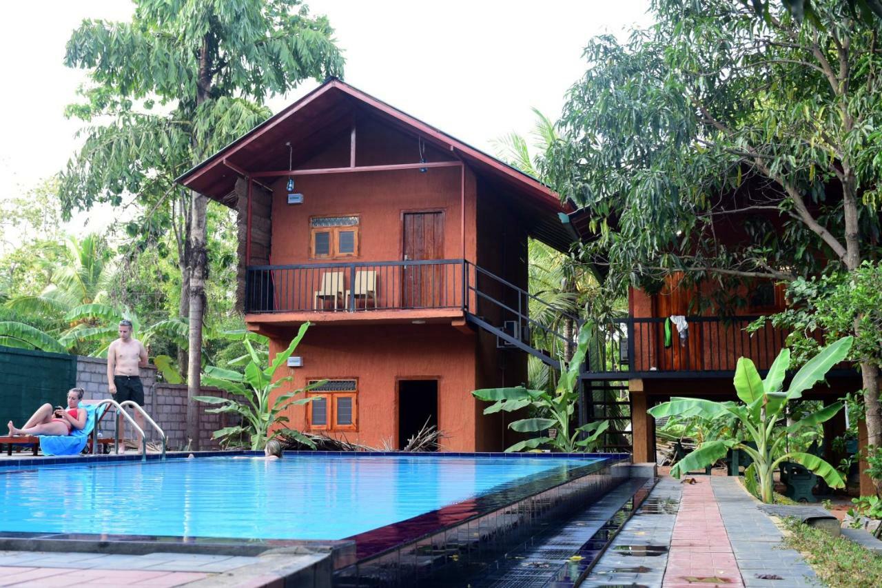 Sun And Green Eco Lodge - Dambulla Εξωτερικό φωτογραφία