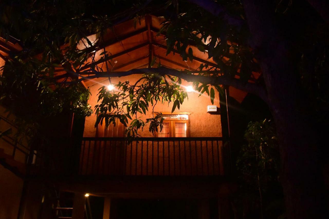 Sun And Green Eco Lodge - Dambulla Εξωτερικό φωτογραφία