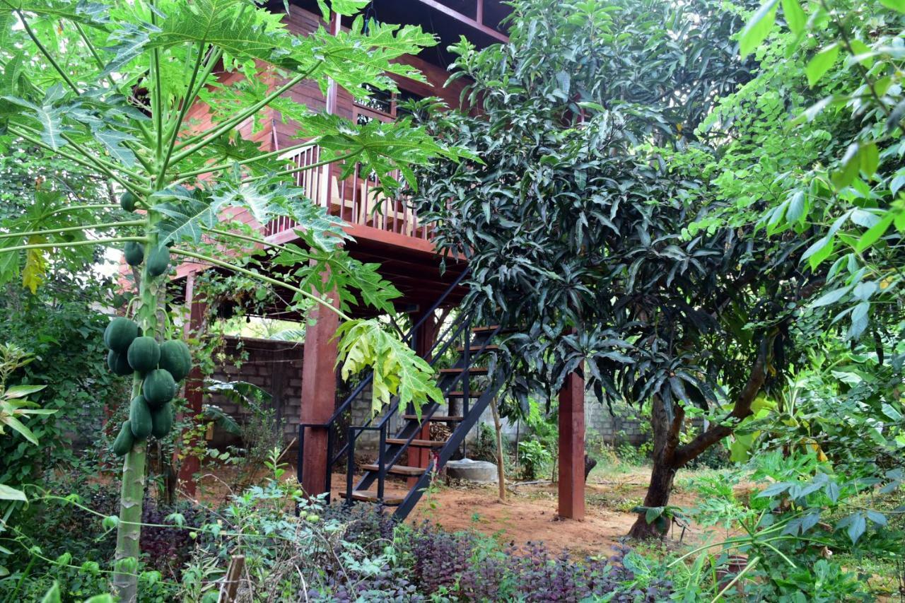Sun And Green Eco Lodge - Dambulla Εξωτερικό φωτογραφία